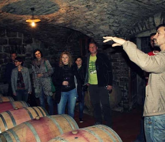 Wine Tour Vipava Valley